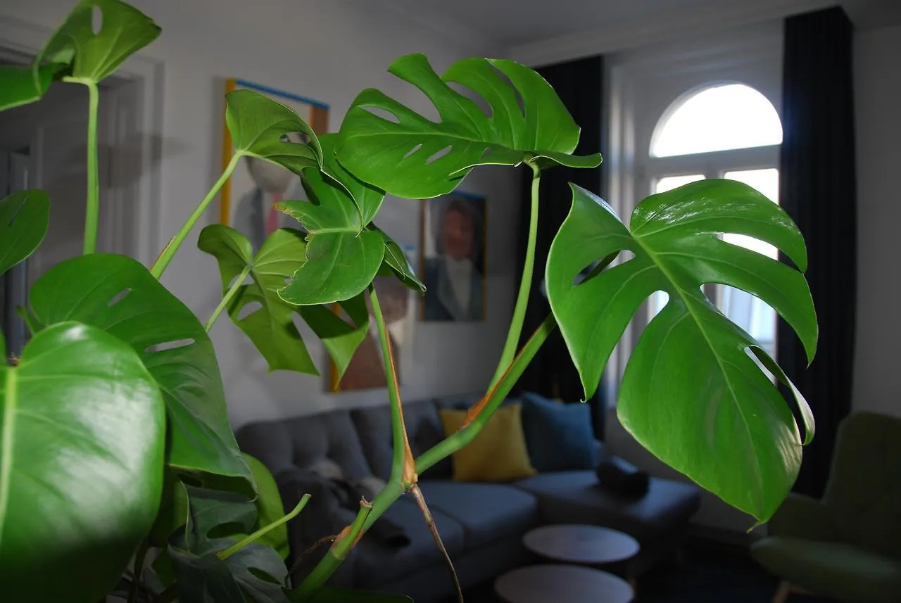 My Home In Vienna - Smart Apartments - Margareten